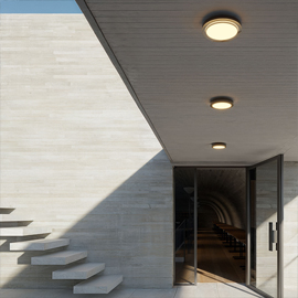 Lisc Outdoor Ceiling Light
